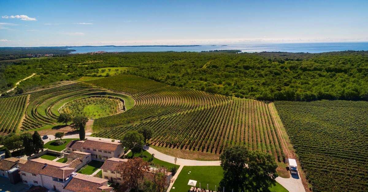 Een foto van Meneghetti Wine Hotel & Winery