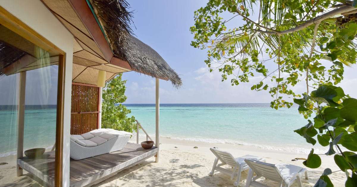 Een foto van Safari Island