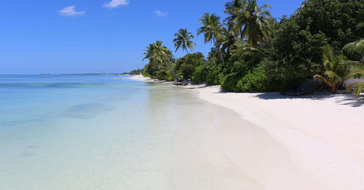 Een foto van Canareef Resort Maldives