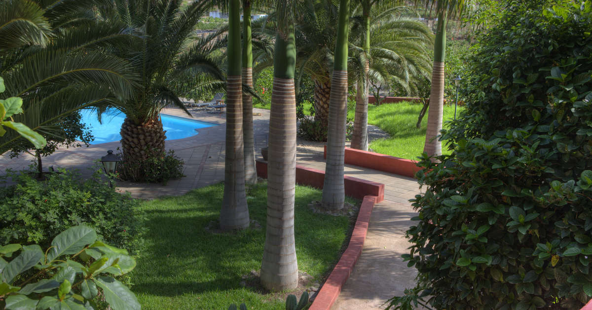 Een foto van het terras bij Finca Las Longueras