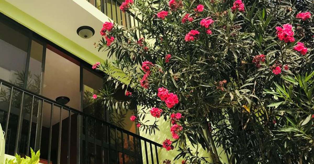 Een foto van de buitenkant van Hotel Central Sal