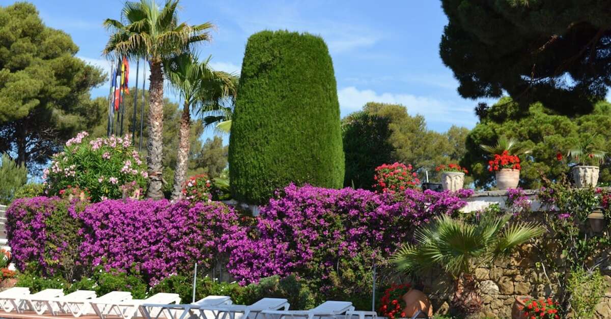 Een foto van het terras bij Hotel Roger de Flor Seleqtta