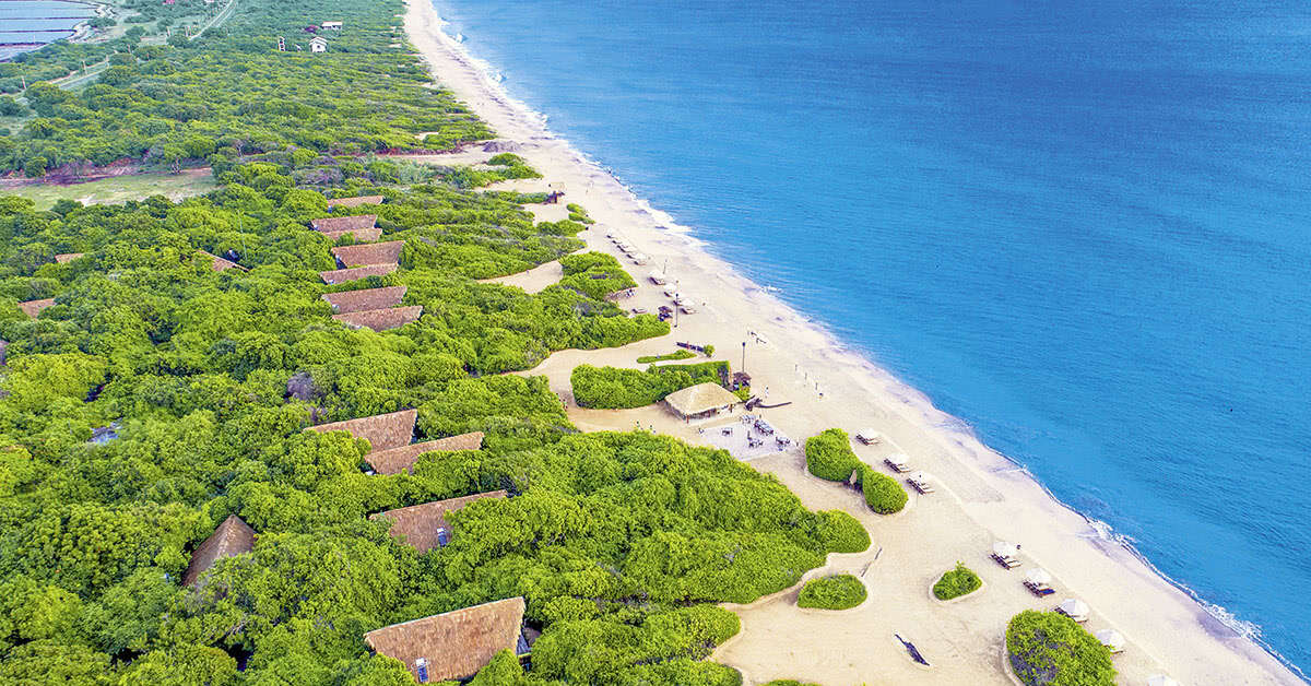 Een foto van Jungle Beach Resort