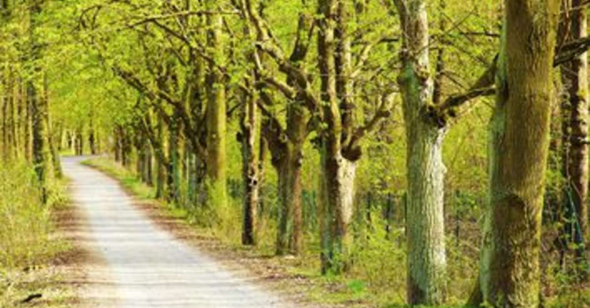Een foto van A-ja Bad Saarow Resort