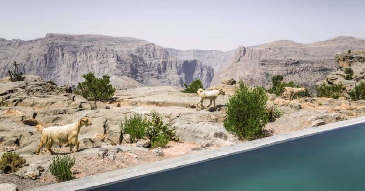 Ein Foto Anantara Jabal Al Akhdar