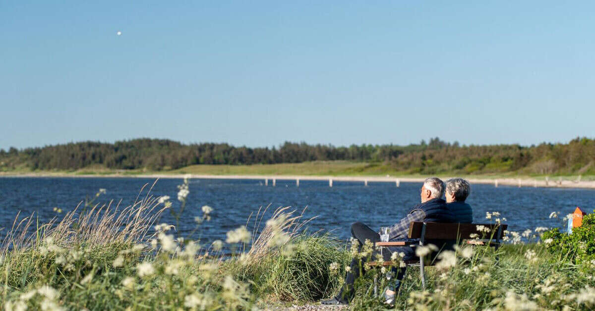 Een foto van Hvalpsund Familie Camping