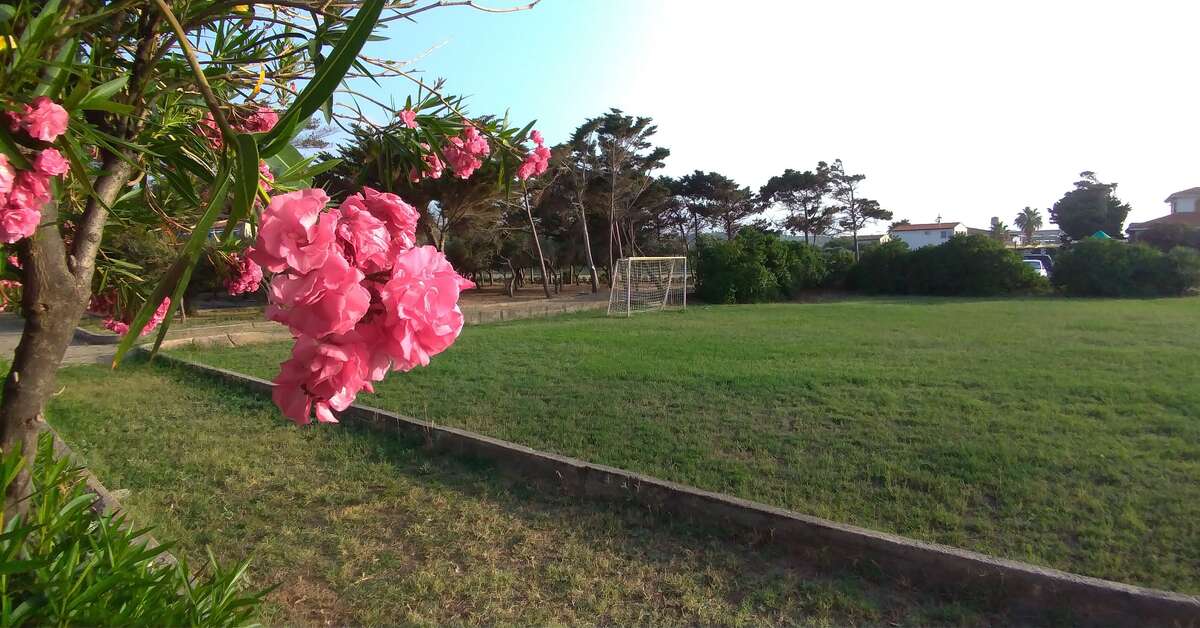 Een foto van Villa Teti
