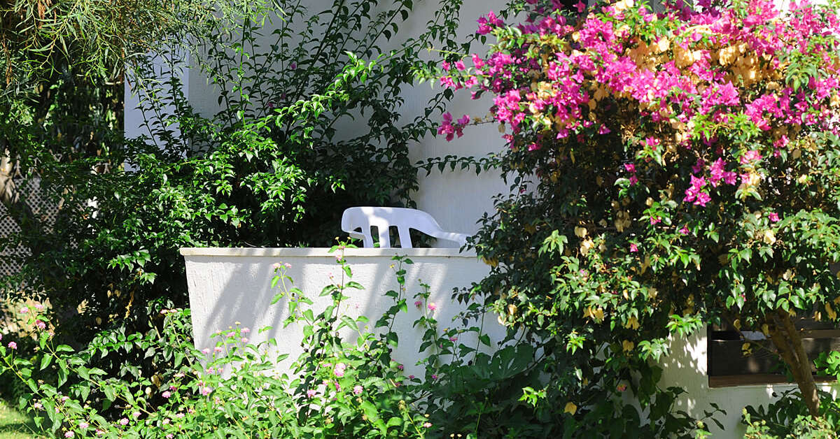 Een foto van Dogan Paradise Beach