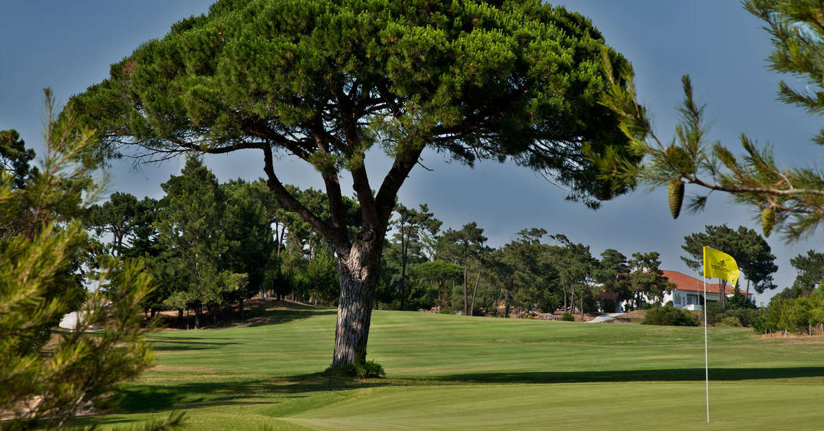 Een foto van de faciliteiten bij Palacio Estoril & Golf