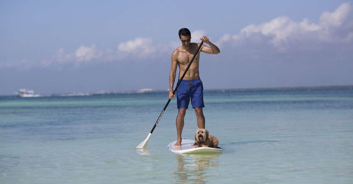 Een foto van Nizuc Resort & Spa