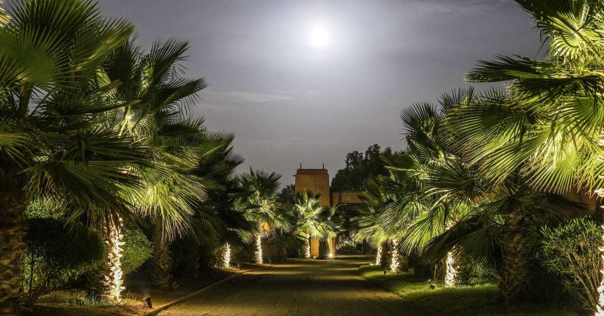 Ein Foto Oasis Lodge
