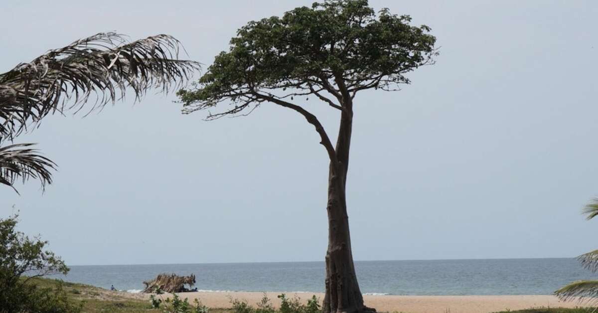 Een foto van Lemon Creek Hotel Resort