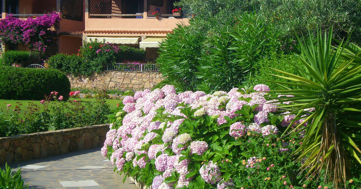 Een foto van Residence Baia de Bahas