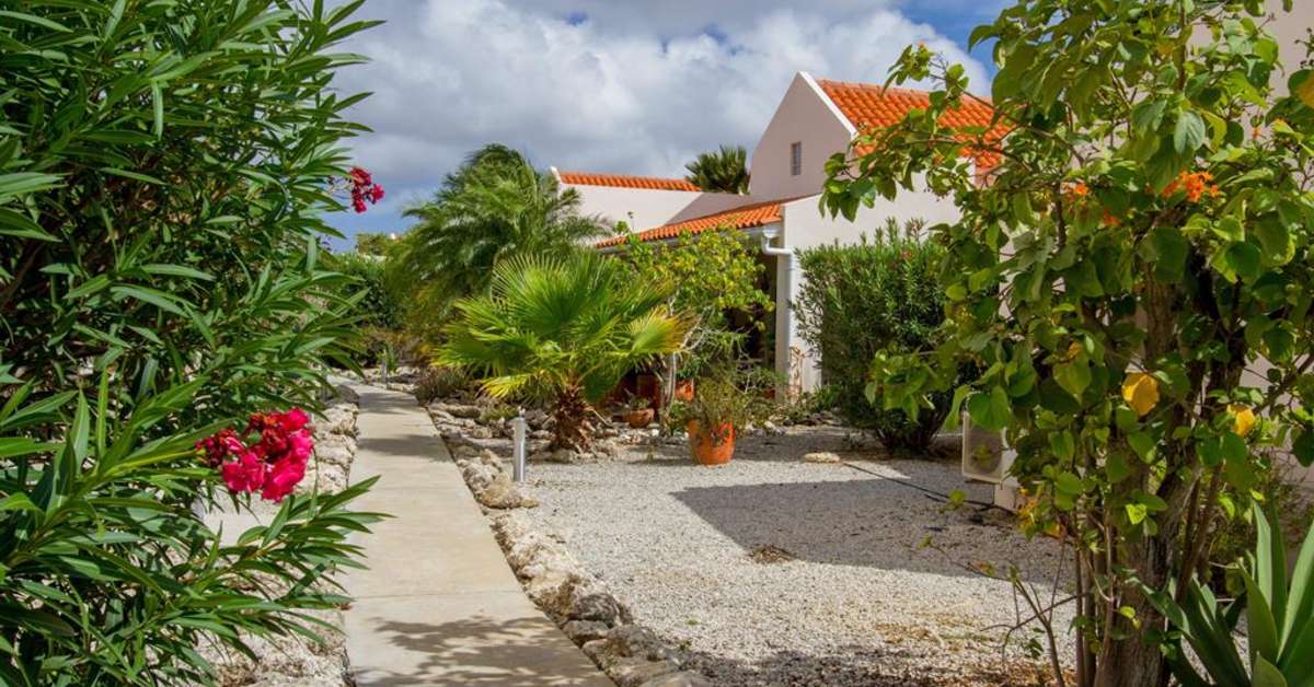 Een foto van de buitenkant van Hamlet Oasis Resort Bonaire