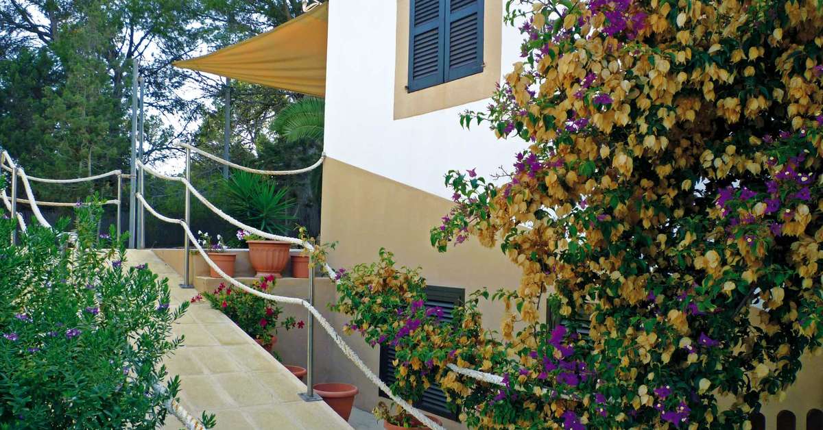 Een foto van de buitenkant van Allida Formentera