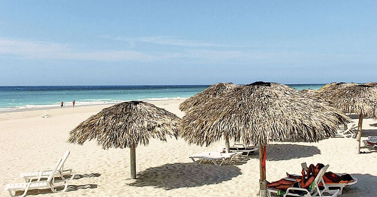 Ein Foto vom Strand beim Hotel Los Cactus