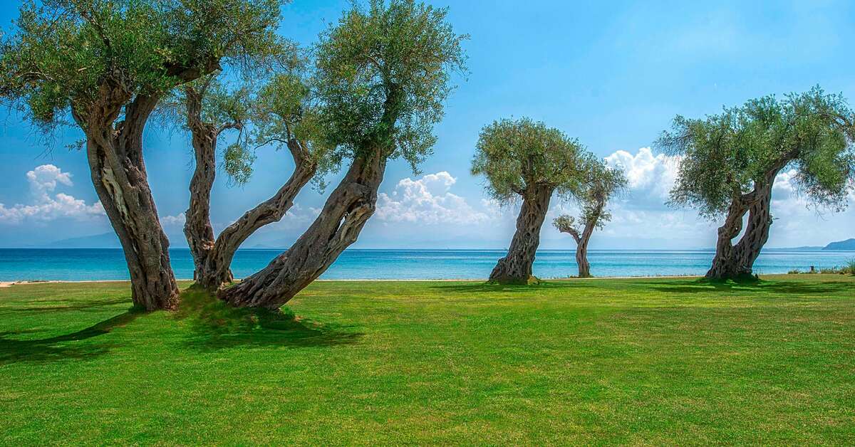Een foto van het terras bij Domes Miramare