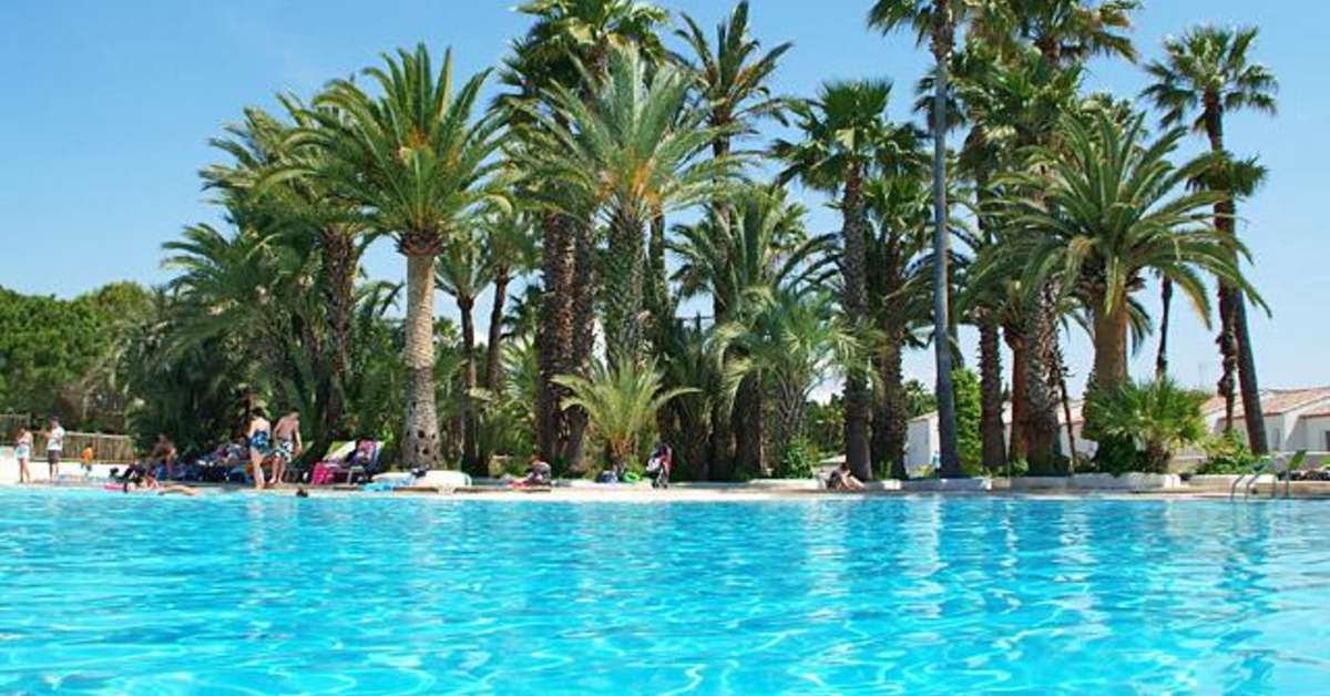 Een foto van het zwembad bij Camping La Baume - La Palmeraie