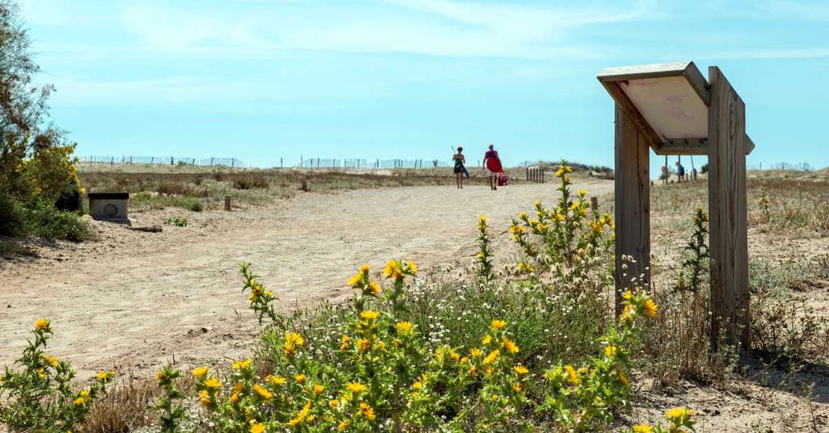 Een foto van Domaine l'Ami Soleil Les Muriers