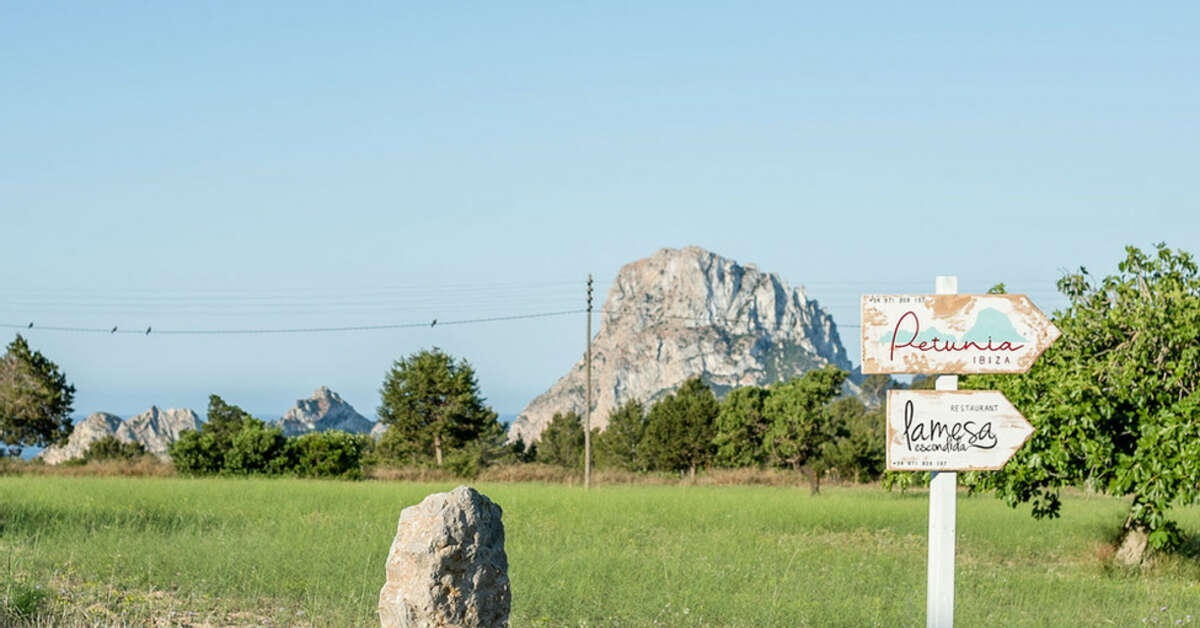 Een foto van Petunia Ibiza