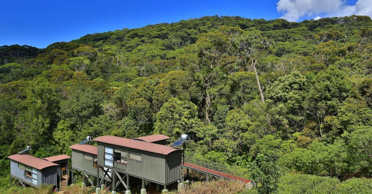 Een foto van Rainforest Eco Lodge