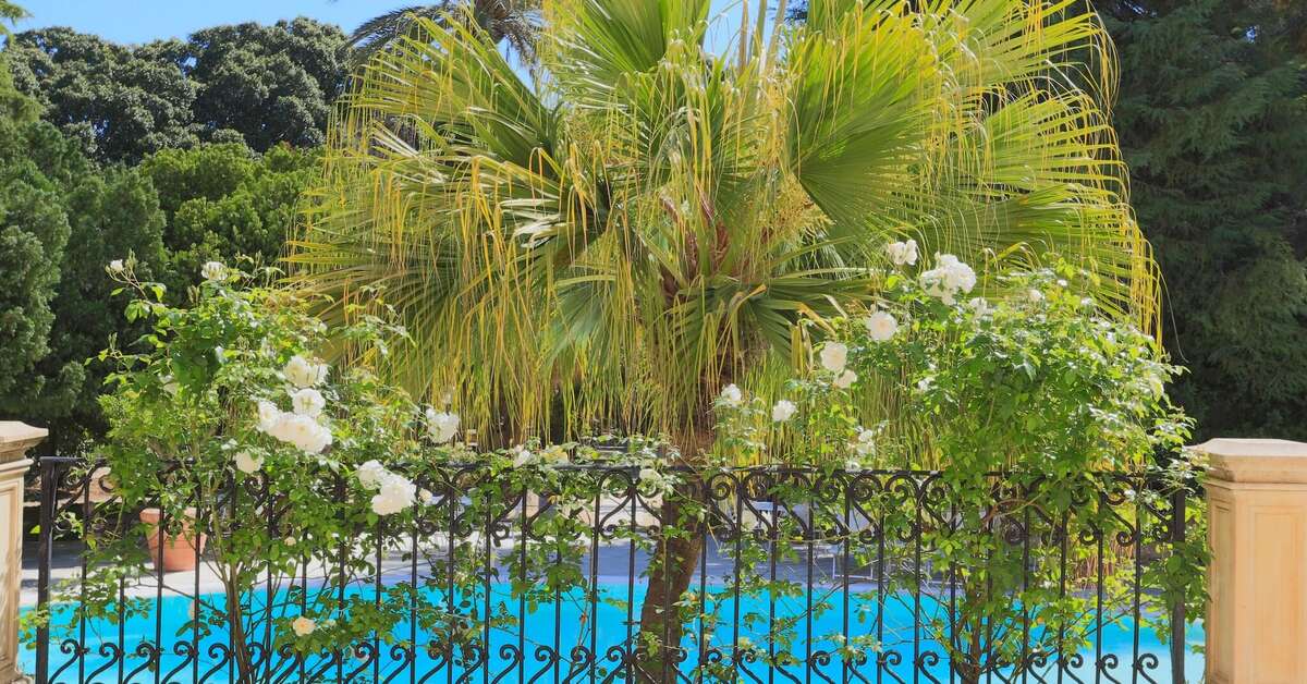 Een foto van Hotel Parco delle Fontane