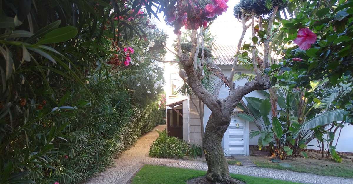 Een foto van het terras bij Luzmar Villas