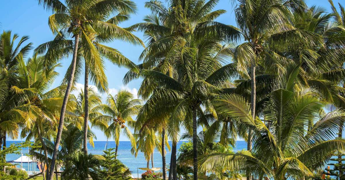 Ein Foto Sofitel Mauritius L'Imperial Resort & Spa