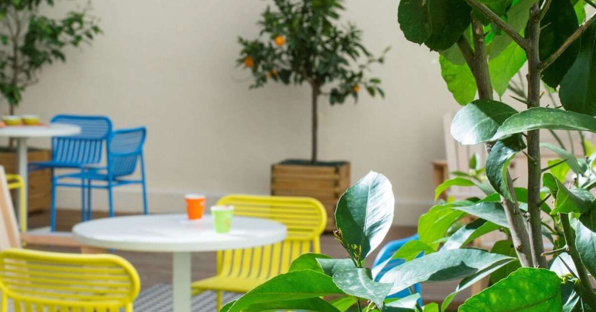 Een foto van het terras bij Ibis Styles Nice Centre Gare
