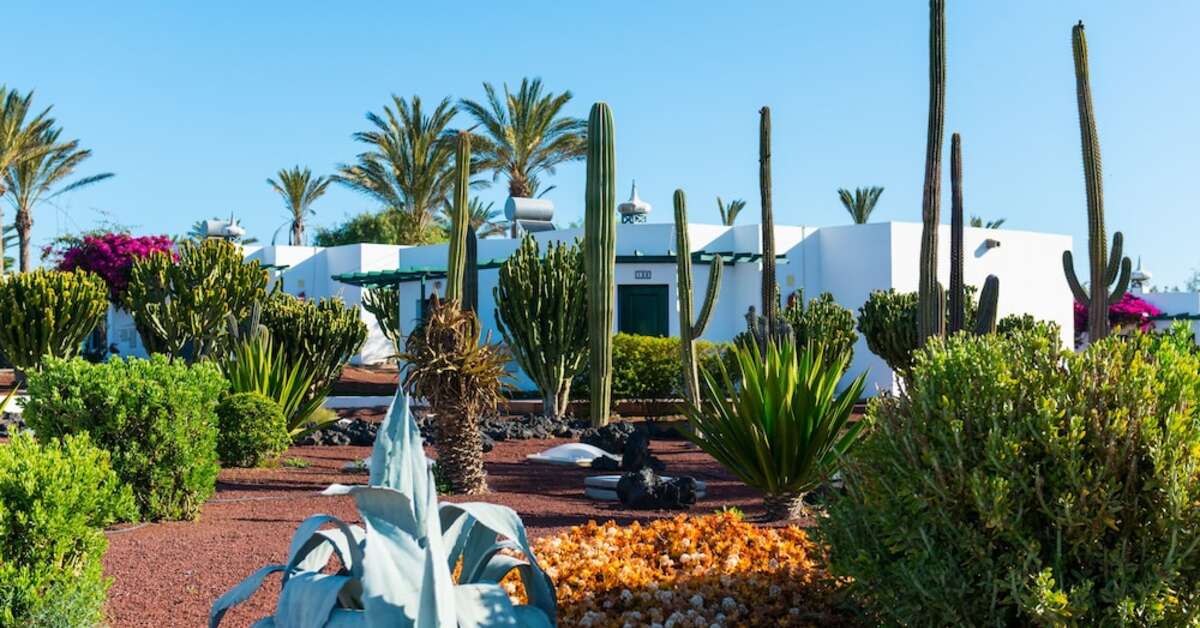 Een foto van de buitenkant van Club Playa Blanca Hotel