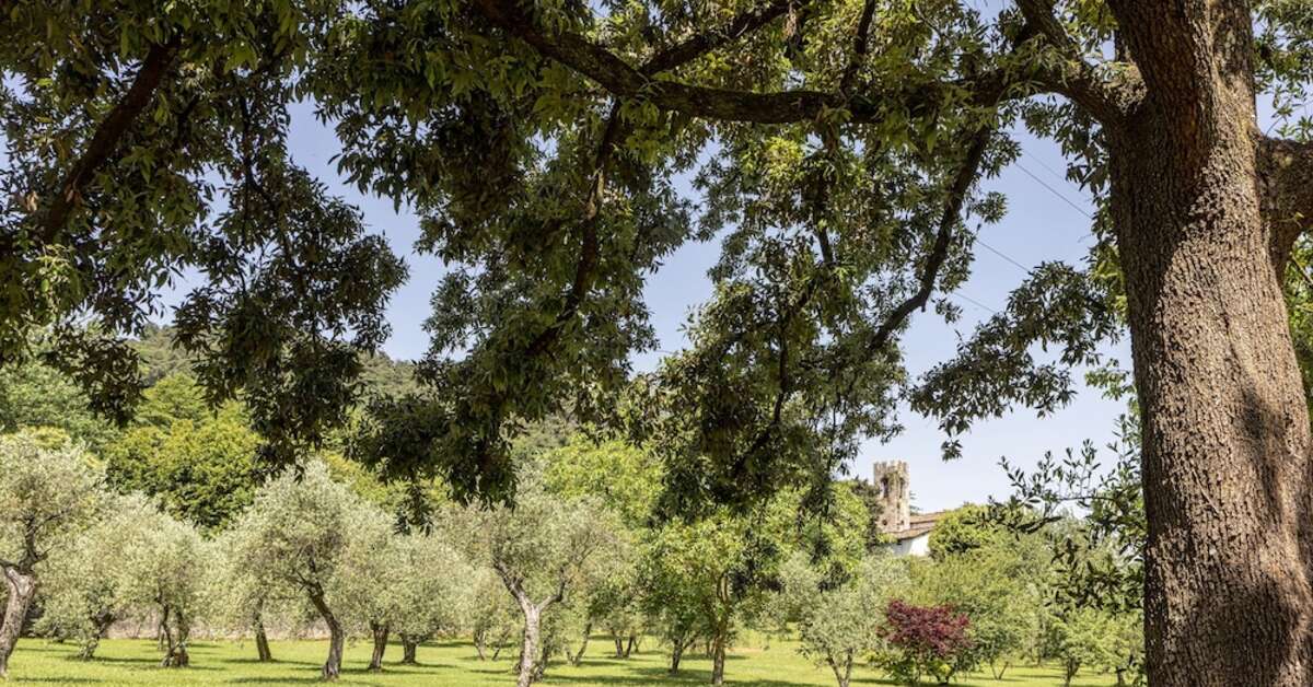 Een foto van Hotel Villa San Michele