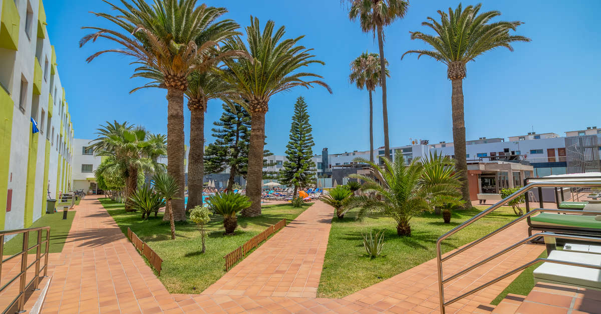 Een foto van het terras bij Hotel Livvo Corralejo Beach