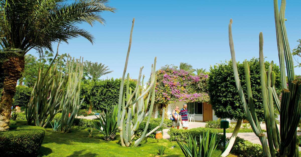 Een foto van Shams Safaga Resort