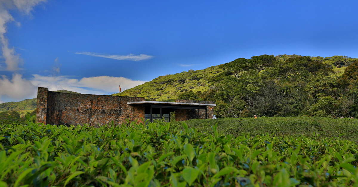 Een foto van Rainforest Eco Lodge