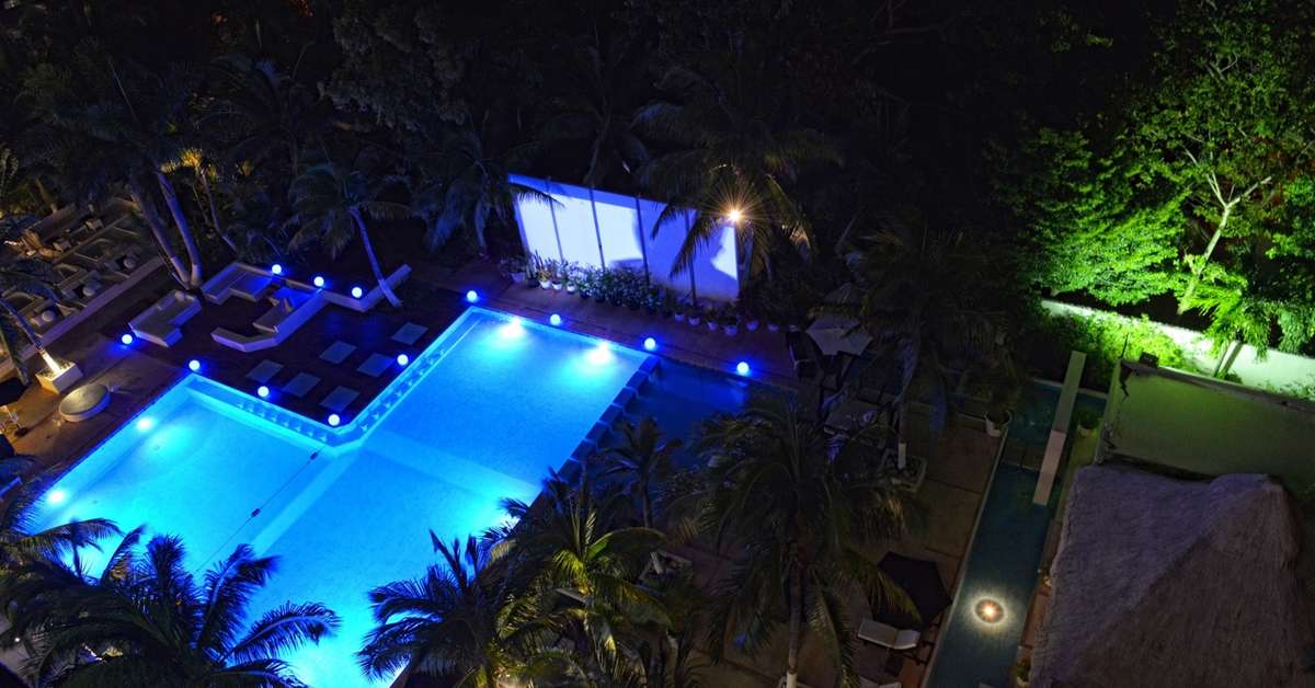 Een foto van Oh the Urban Oasis