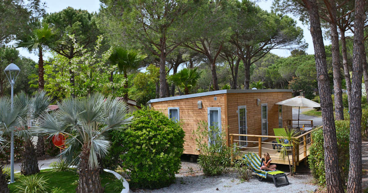 Een foto van Camping La Baume - La Palmeraie