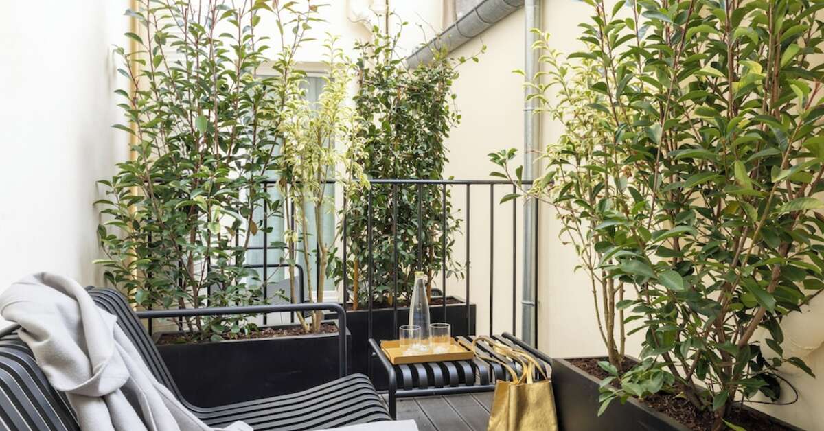 Een foto van Hotel Filigrane