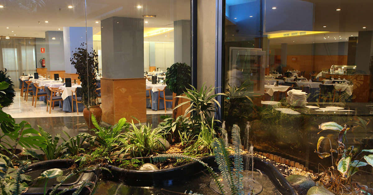 Een foto van de faciliteiten bij Hotel Madeira Centro