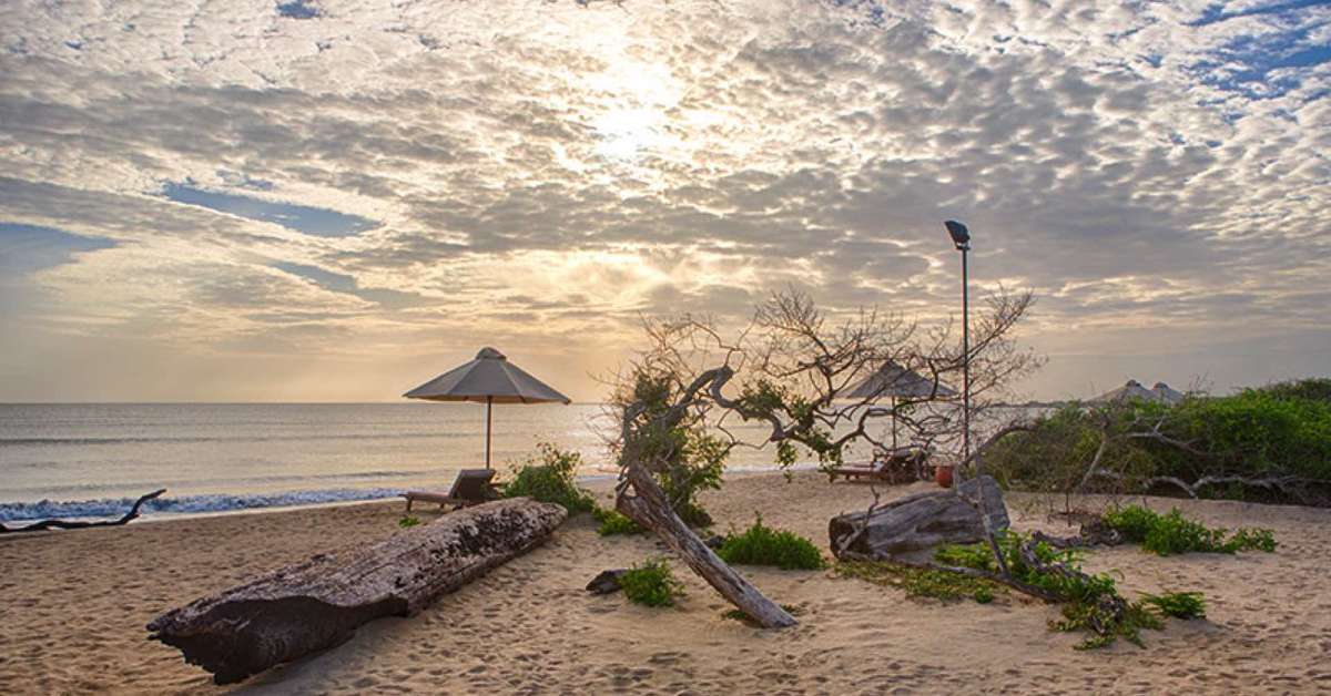 Een foto van Jungle Beach Resort