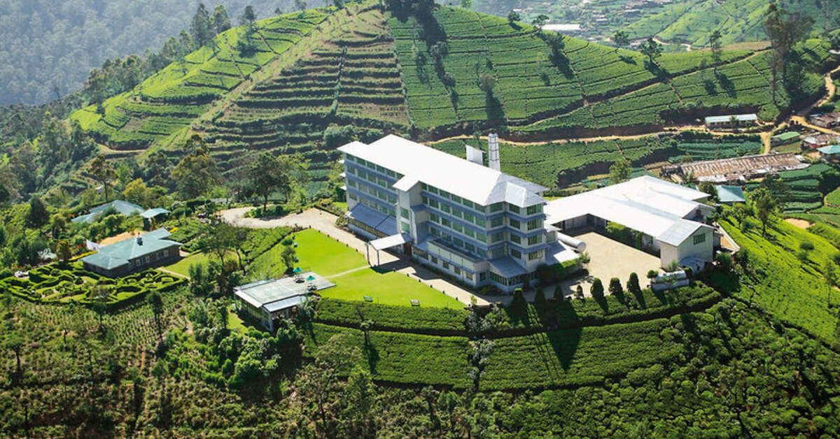 Een foto van Heritance Tea Factory