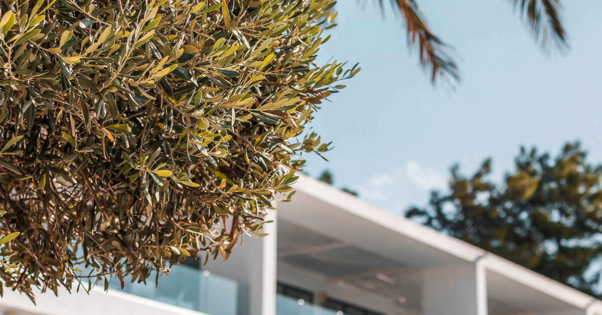 Een foto van de buitenkant van Hotel Ellia