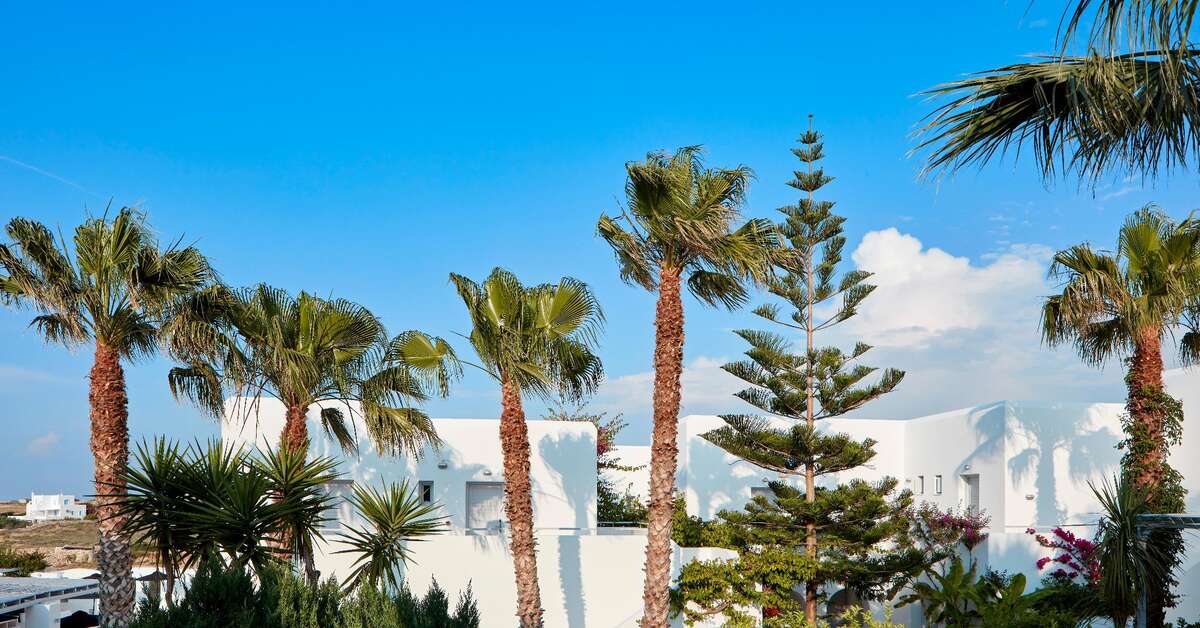 Een foto van de buitenkant van Mr & Mrs White Paros