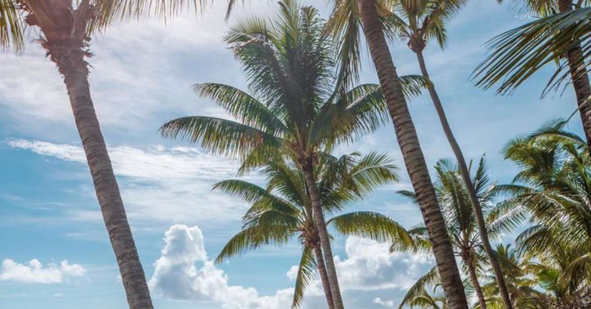 Een foto van One & Only Le Saint Geran