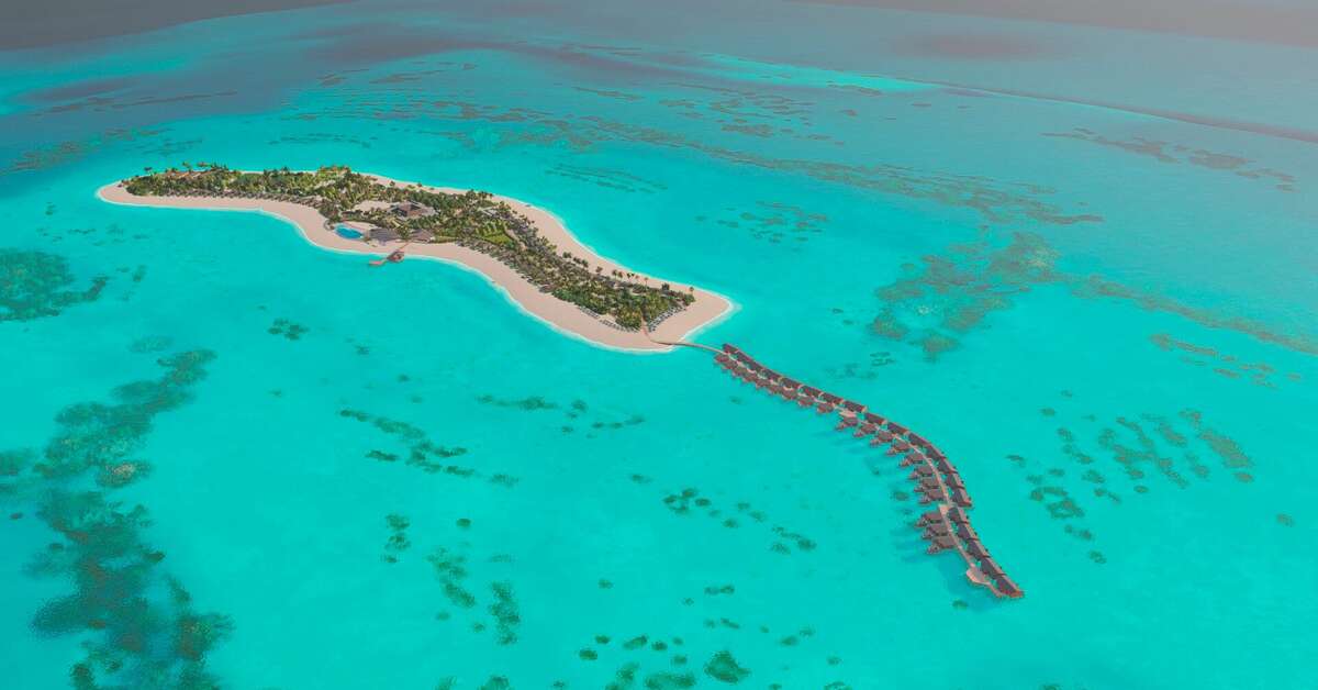 Een foto van Joy Island - The Cocoon Collection