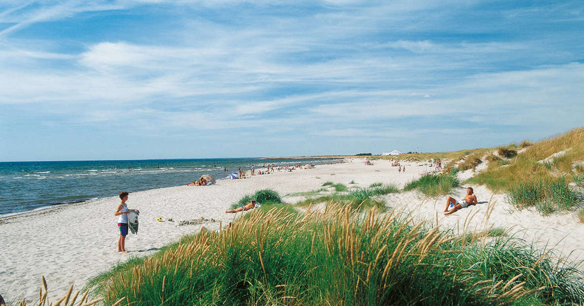 Een foto van het strand bij Vakantiepark Lalandia Rødby