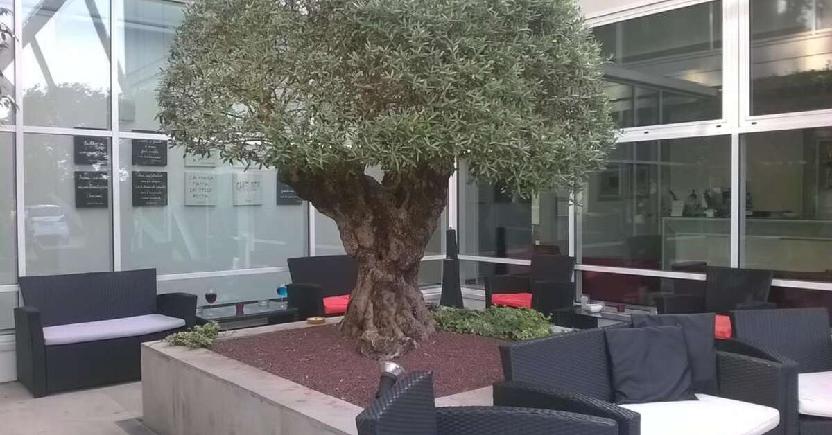 Een foto van Hotel Carpi