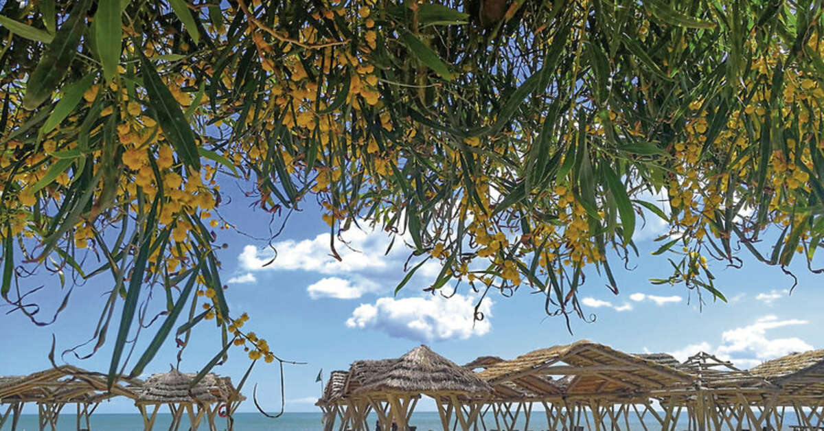 Een foto van The Orangers Beach Resort & Bungalows