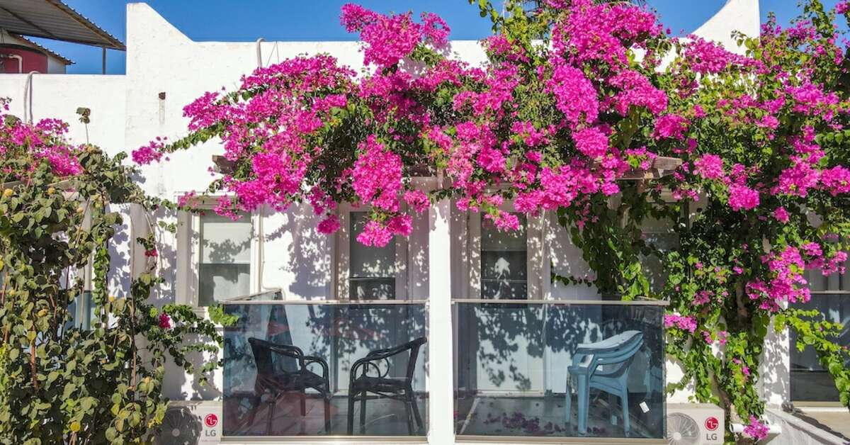 Een foto van The Hello Hotel