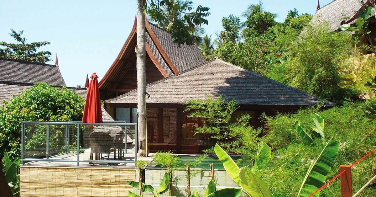 Ein Foto Kupu Kupu Phangan