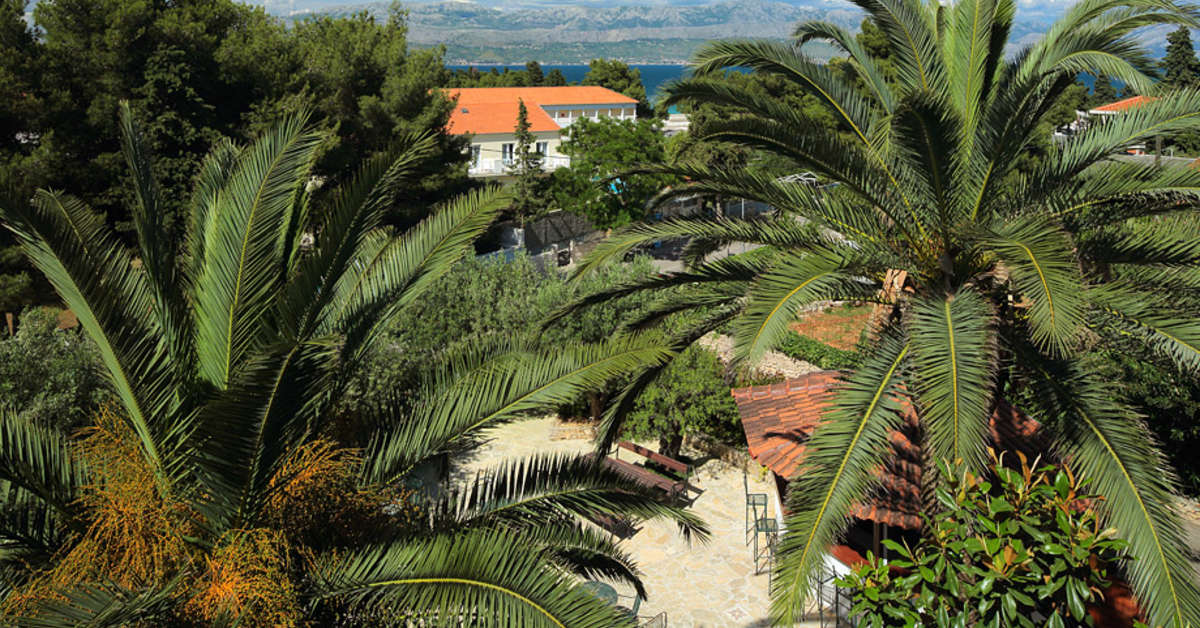 Een foto van Hotel Villa Adriatica